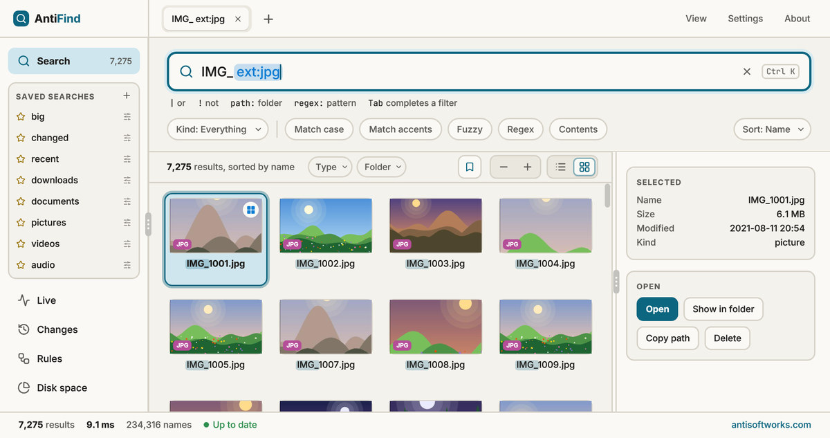 AntiFind Search and saved searches, light theme